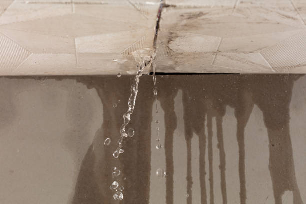 Professional Burst Pipe Cleanup technician working in Quinlan, TX